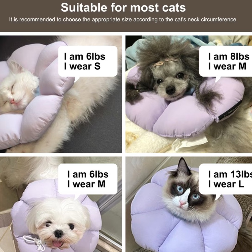 Adjustable Cat Cone Recovery Collar Protect Upper Body Wound Lavender - Large - Picture 11 of 12